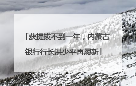 获提拔不到一年，内蒙古银行行长洪少平再履新