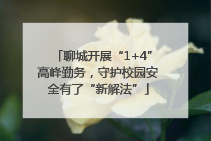 聊城开展“1+4”高峰勤务，守护校园安全有了“新解法”