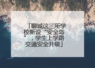 聊城这三所学校新设“安全岛”，学生上学路交通安全升级