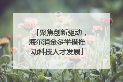 聚焦创新驱动，海尔消金多举措推动科技人才发展