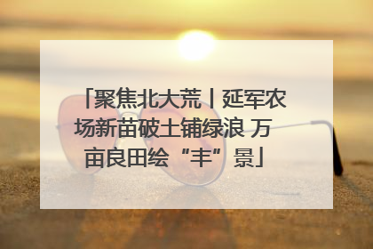 聚焦北大荒丨延军农场新苗破土铺绿浪 万亩良田绘“丰”景