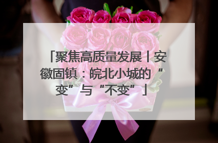 聚焦高质量发展丨安徽固镇：皖北小城的“变”与“不变”