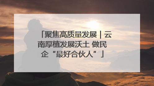 聚焦高质量发展｜云南厚植发展沃土 做民企“最好合伙人”