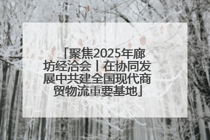聚焦2025年廊坊经洽会丨在协同发展中共建全国现代商贸物流重要基地