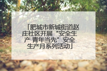 肥城市新城街道赵庄社区开展“安全生产 青年当先”安全生产月系列活动