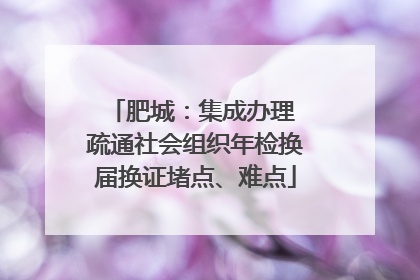 肥城：集成办理 疏通社会组织年检换届换证堵点、难点