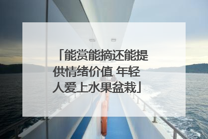 能赏能摘还能提供情绪价值 年轻人爱上水果盆栽