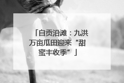 自贡沿滩：九洪万亩瓜田迎来“甜蜜丰收季”
