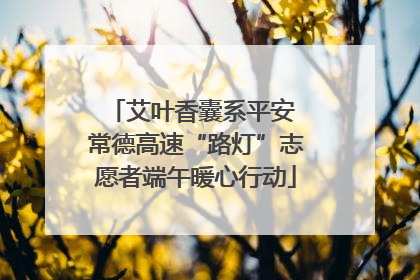 艾叶香囊系平安 常德高速“路灯”志愿者端午暖心行动