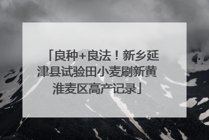 良种+良法！新乡延津县试验田小麦刷新黄淮麦区高产记录