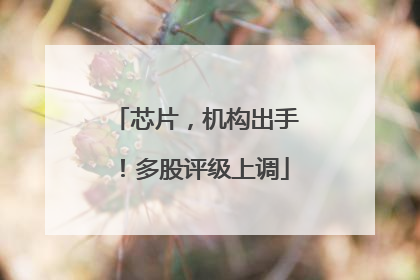 芯片，机构出手！多股评级上调