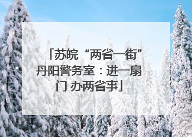 苏皖“两省一街”丹阳警务室：进一扇门 办两省事