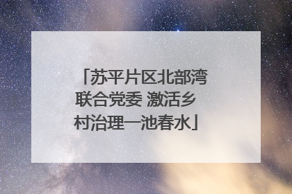 苏平片区北部湾联合党委 激活乡村治理一池春水