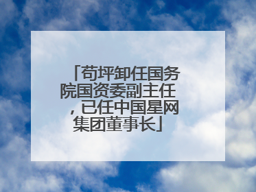 苟坪卸任国务院国资委副主任，已任中国星网集团董事长