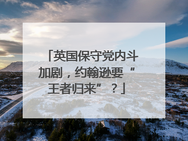 英国保守党内斗加剧，约翰逊要“王者归来”？