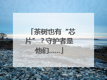 茶树也有“芯片”？守护者是他们……