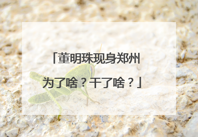 董明珠现身郑州 为了啥？干了啥？