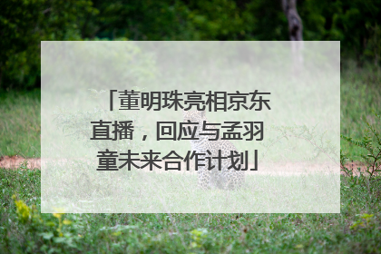 董明珠亮相京东直播，回应与孟羽童未来合作计划