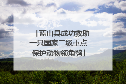 蓝山县成功救助一只国家二级重点保护动物领角鸮