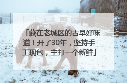 藏在老城区的古早好味道！开了30年，坚持手工现包，主打一个新鲜