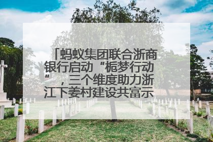 蚂蚁集团联合浙商银行启动“栀梦行动”，三个维度助力浙江下姜村建设共富示范区示范点