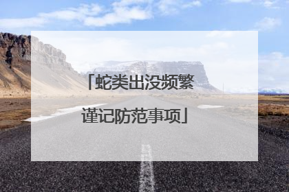 蛇类出没频繁 谨记防范事项