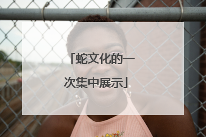 蛇文化的一次集中展示