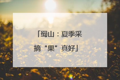 蜀山：夏季采摘“果”真好