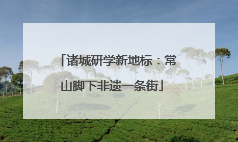 诸城研学新地标：常山脚下非遗一条街