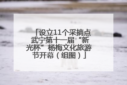 设立11个采摘点 武宁第十一届“新光杯”杨梅文化旅游节开幕（组图）