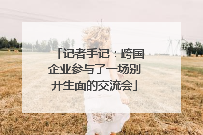 记者手记：跨国企业参与了一场别开生面的交流会