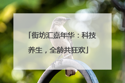 街坊汇嘉年华：科技养生，全龄共狂欢