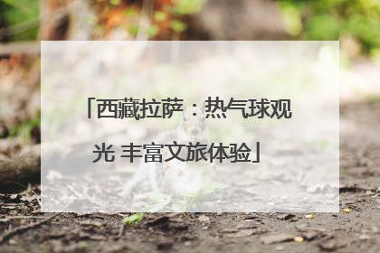 西藏拉萨：热气球观光 丰富文旅体验
