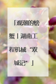 观潮的螃蟹丨湖南工程机械“双城记”