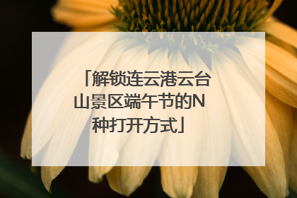 解锁连云港云台山景区端午节的N种打开方式
