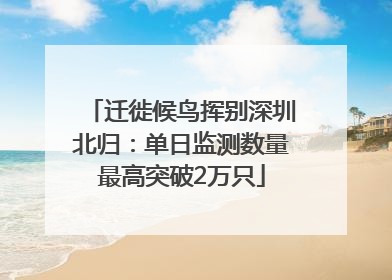 迁徙候鸟挥别深圳北归：单日监测数量最高突破2万只