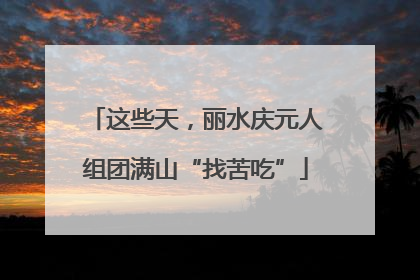 这些天，丽水庆元人组团满山“找苦吃”