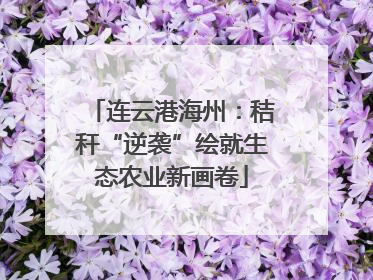 连云港海州：秸秆“逆袭”绘就生态农业新画卷