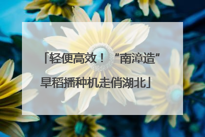 轻便高效！“南漳造”旱稻播种机走俏湖北