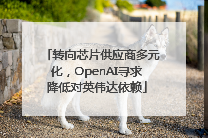转向芯片供应商多元化，OpenAI寻求降低对英伟达依赖
