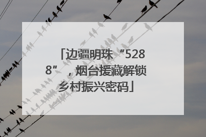 边疆明珠“5288”，烟台援藏解锁乡村振兴密码