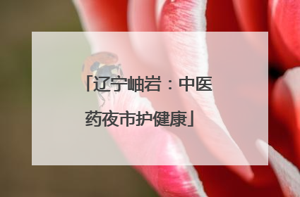 辽宁岫岩：中医药夜市护健康