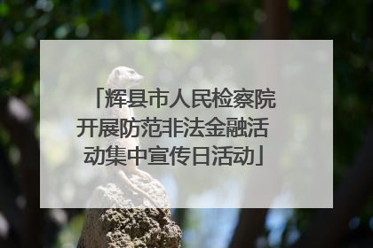 辉县市人民检察院开展防范非法金融活动集中宣传日活动
