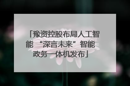 豫资控股布局人工智能 “深言未来”智能政务一体机发布