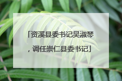 资溪县委书记吴淑琴，调任崇仁县委书记