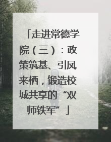 走进常德学院（三）：政策筑基、引凤来栖，锻造校城共享的“双师铁军”