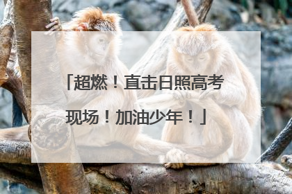 超燃！直击日照高考现场！加油少年！