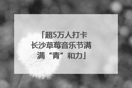 超5万人打卡 长沙草莓音乐节满满“青”和力