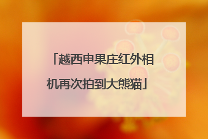 越西申果庄红外相机再次拍到大熊猫