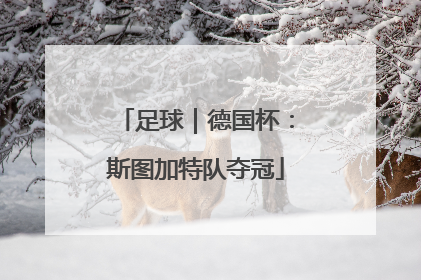 足球｜德国杯：斯图加特队夺冠